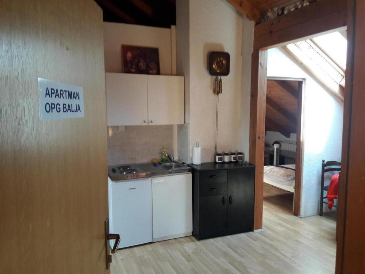 Apartman Opg Balja Garesnica Exterior photo